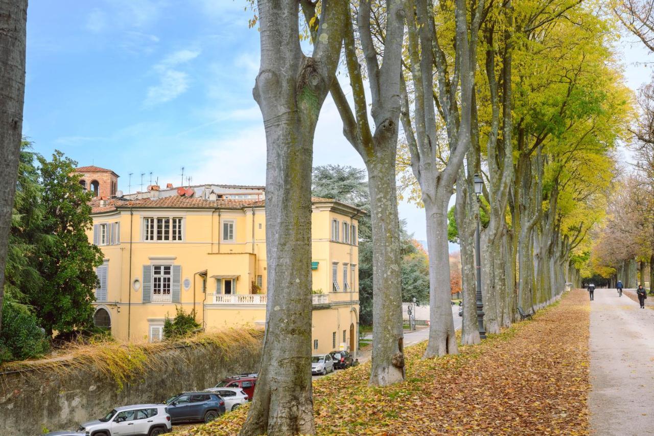 Palazzo Froussard B&B And Living Lucca Eksteriør bilde